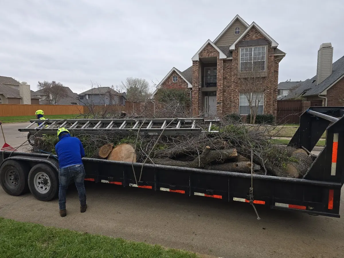 Expert Tree Fertilization with proper safety equipment in Pleasant Hall